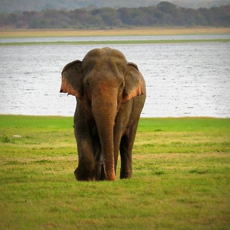 Mahoora Tented Safari Camp Удавалаве Экстерьер фото