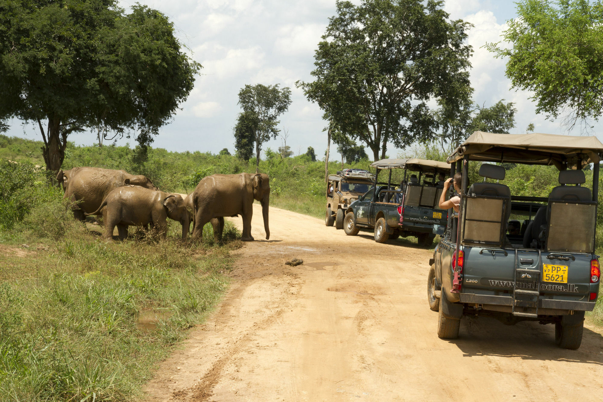 Mahoora Tented Safari Camp Удавалаве Экстерьер фото