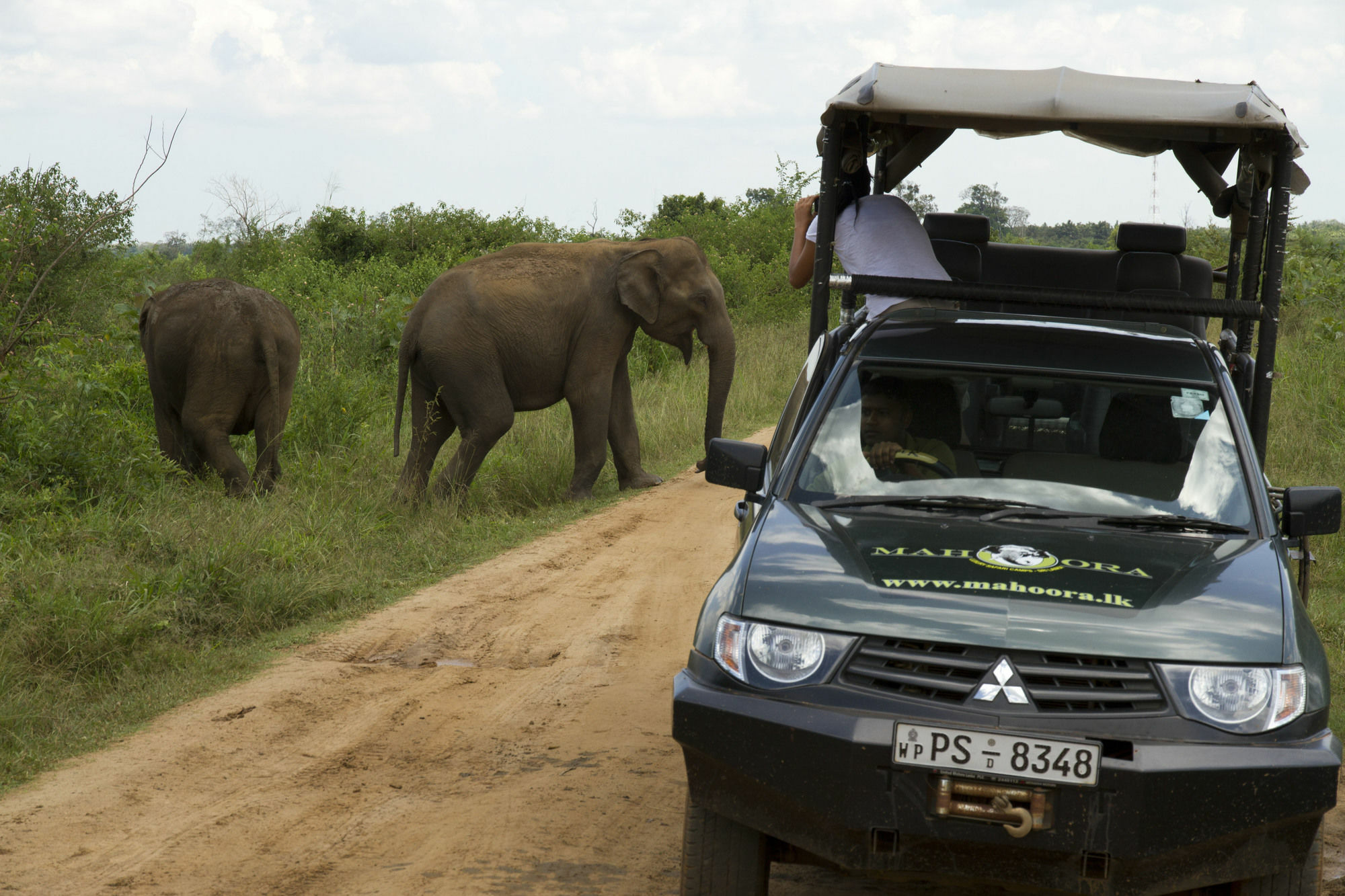 Mahoora Tented Safari Camp Удавалаве Экстерьер фото