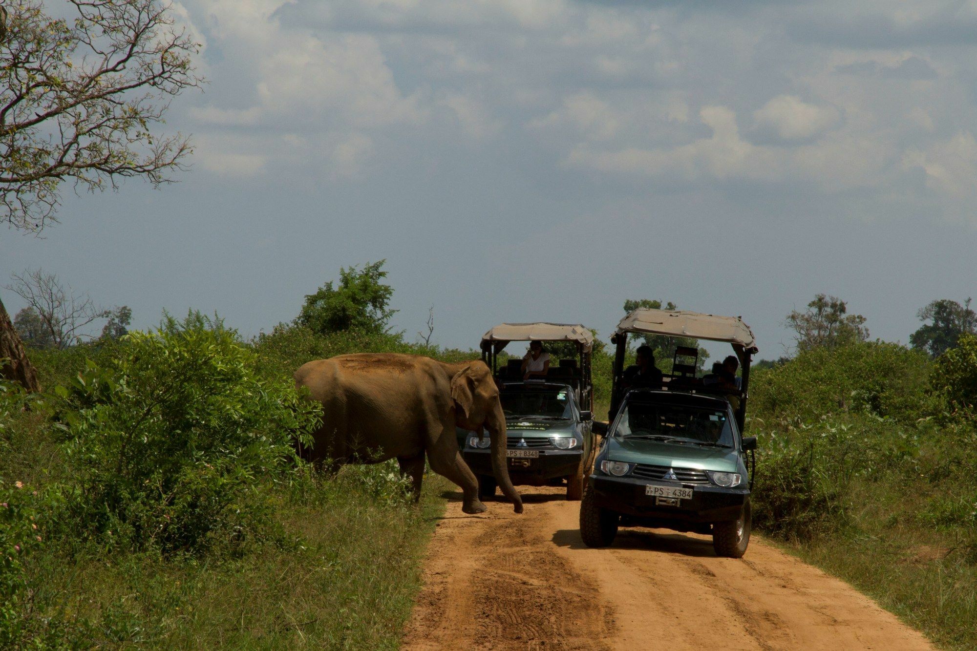 Mahoora Tented Safari Camp Удавалаве Экстерьер фото