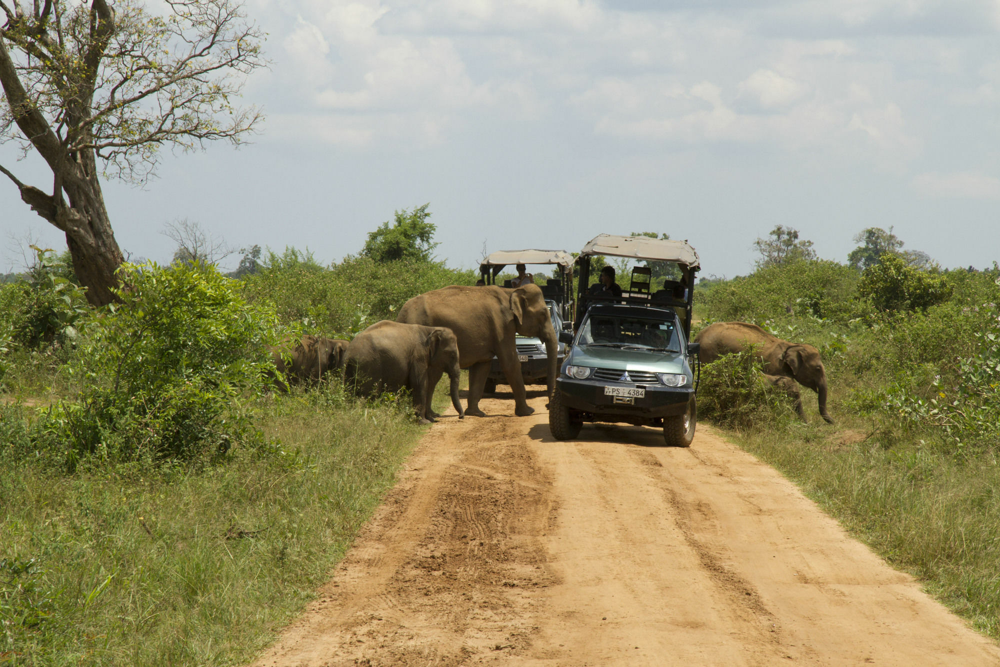 Mahoora Tented Safari Camp Удавалаве Экстерьер фото