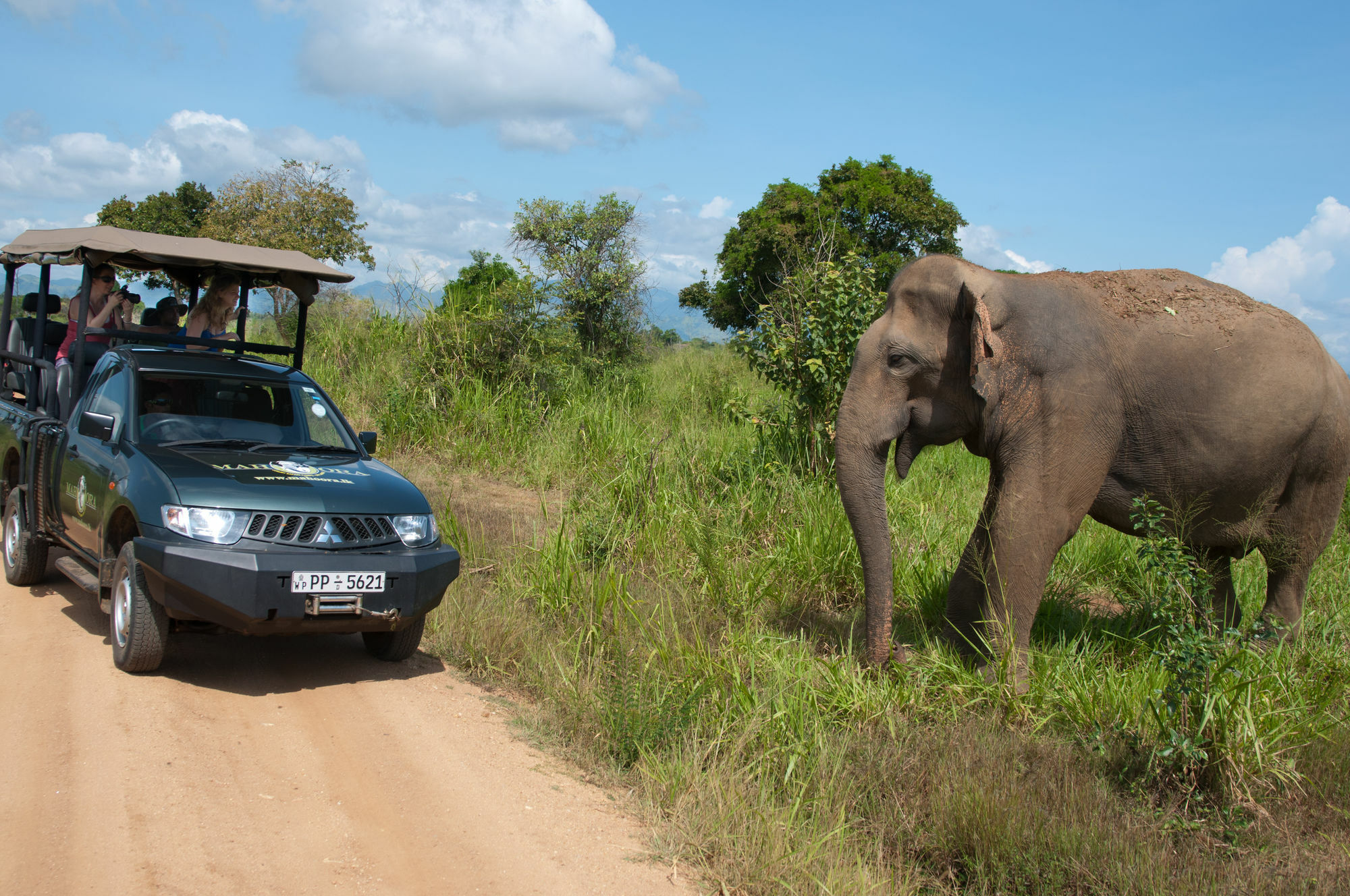 Mahoora Tented Safari Camp Удавалаве Экстерьер фото