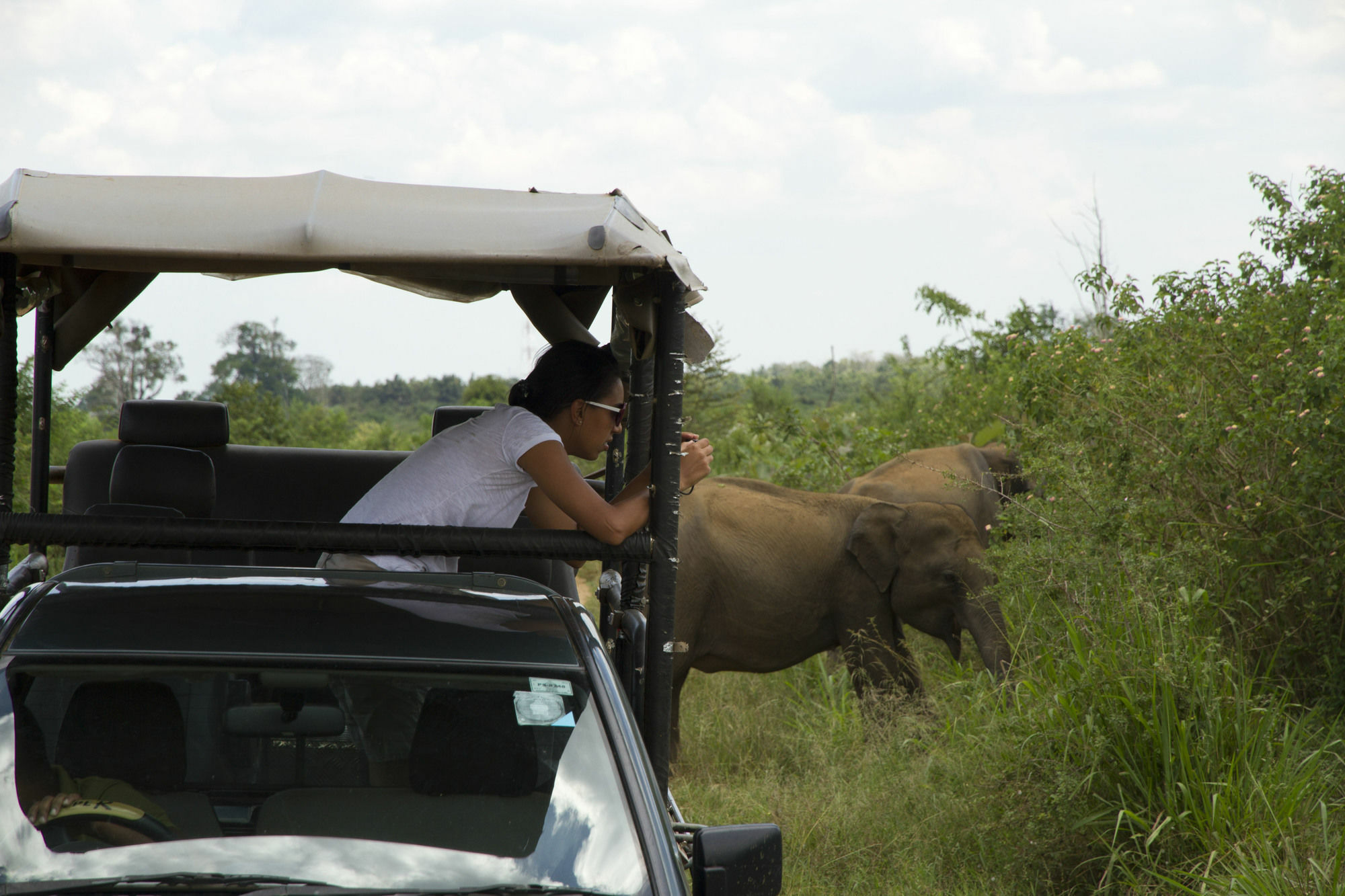 Mahoora Tented Safari Camp Удавалаве Экстерьер фото