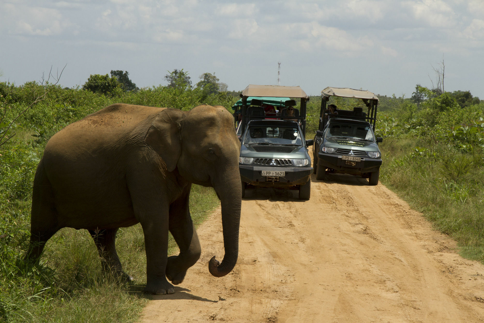 Mahoora Tented Safari Camp Удавалаве Экстерьер фото