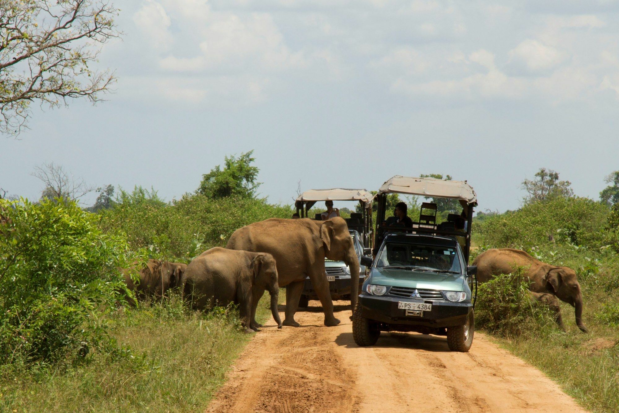 Mahoora Tented Safari Camp Удавалаве Экстерьер фото