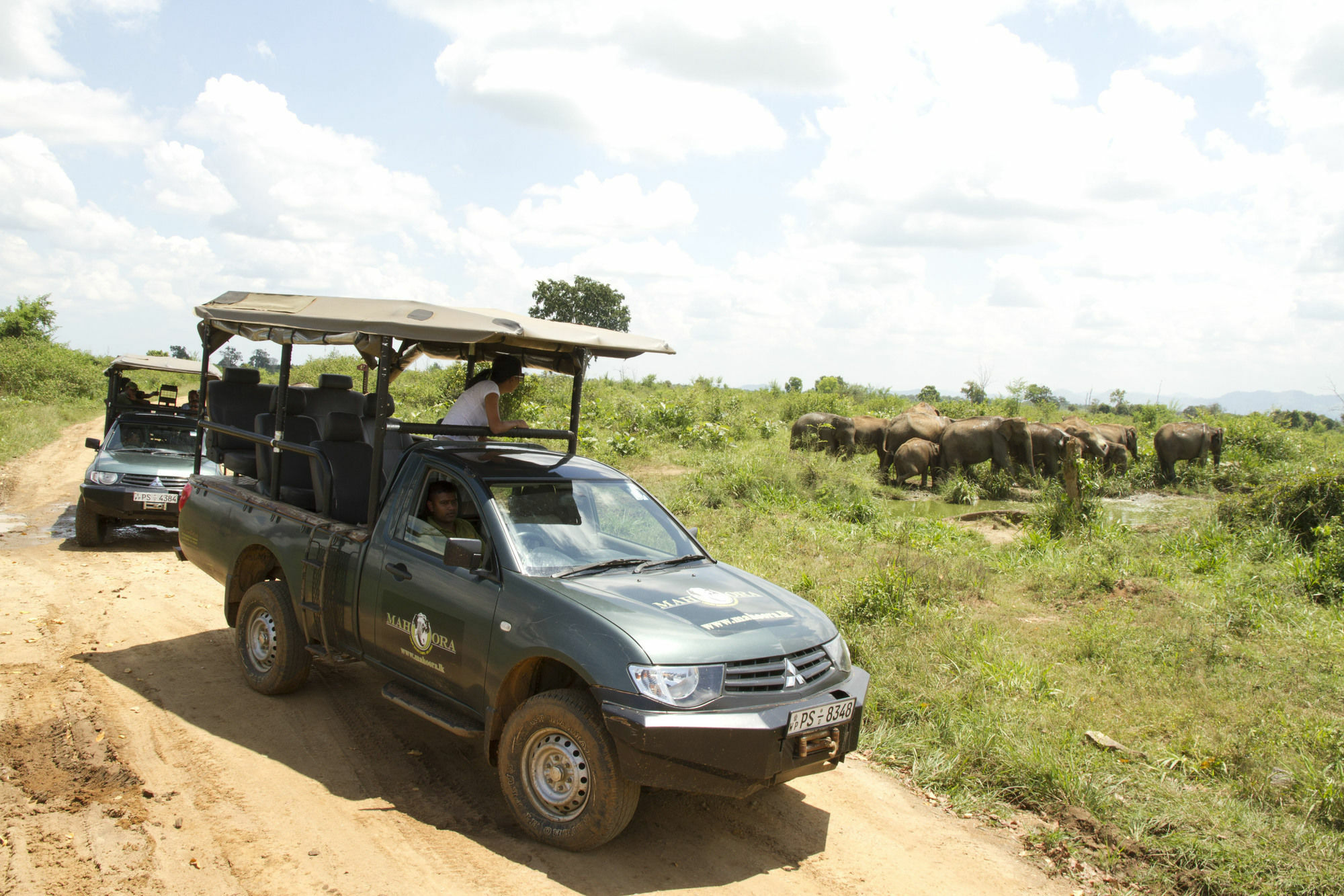 Mahoora Tented Safari Camp Удавалаве Экстерьер фото