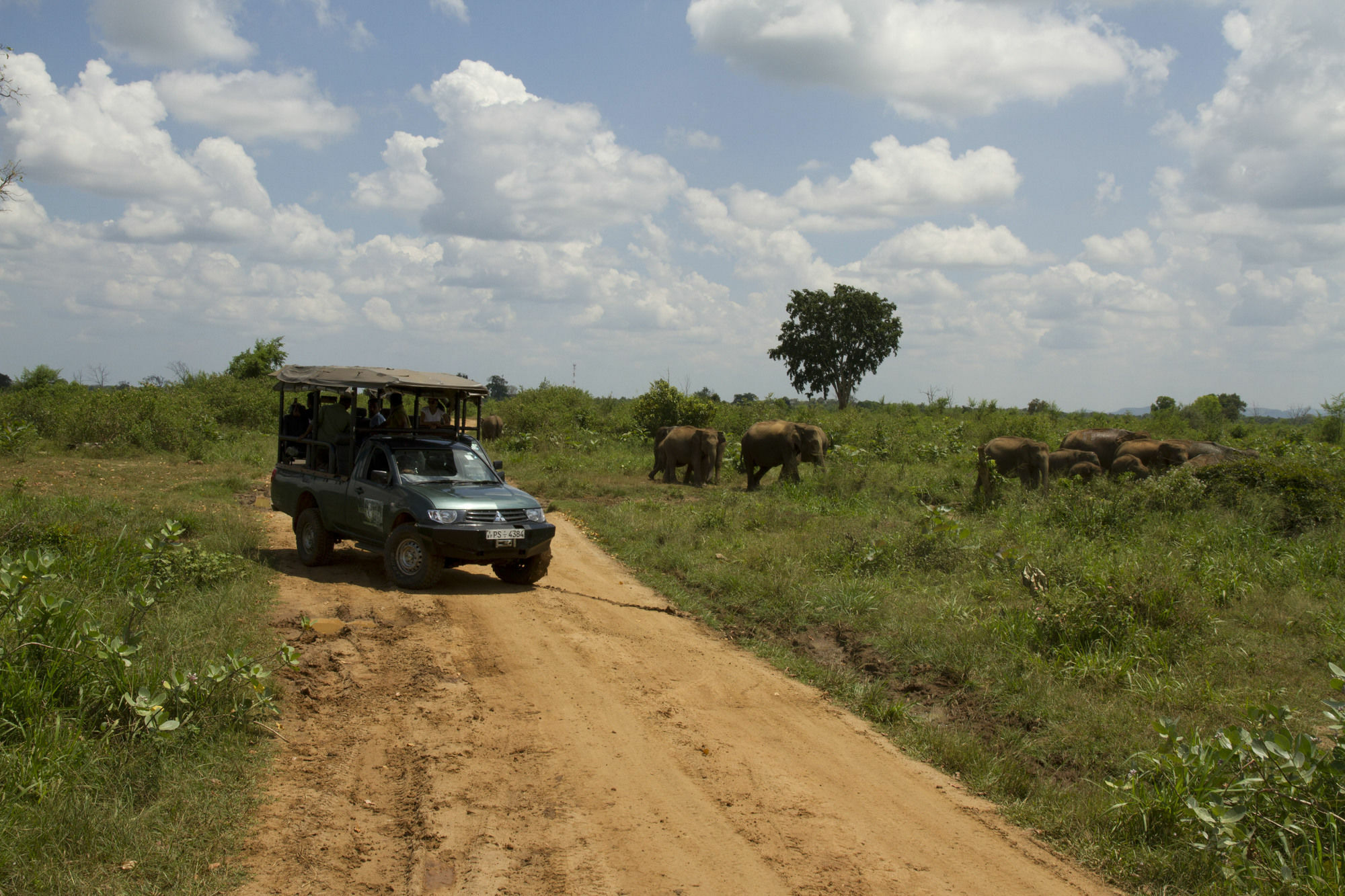Mahoora Tented Safari Camp Удавалаве Экстерьер фото